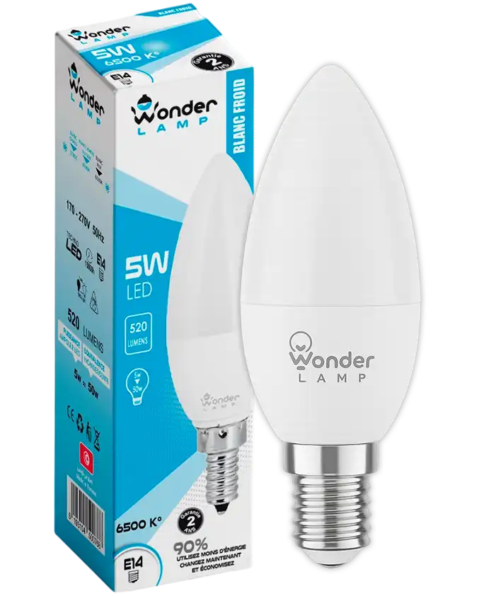 Ampoule LED E14 5W