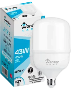 Ampoule LED E27 43W 6500K Blanc Froid 4600 lumens, équivalent 430W, blanc froid 6500K E27 – Classe A+ – Économie d’énergie 90% Durée de vie 15 000 h, garantie 2 ans, 170–270V